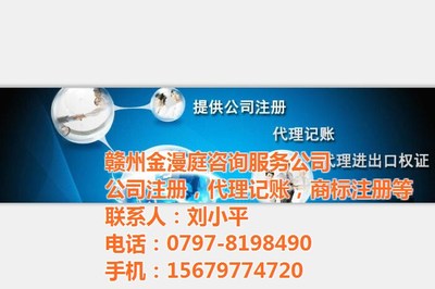 记账代办服务 专业高效，助力企业合规经营