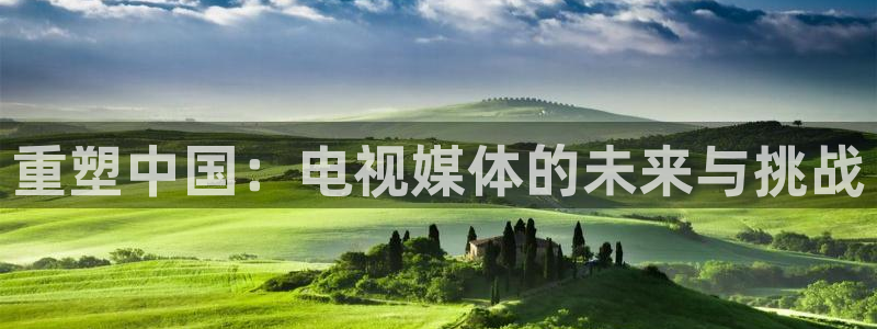 黑蚂蚁影院在线观看全集免费观看：重塑中国：电视媒体的未来与挑战