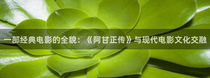 黑蚂蚁影视院：一部经典电影的全貌：《阿甘正传》与现代电影文化交融