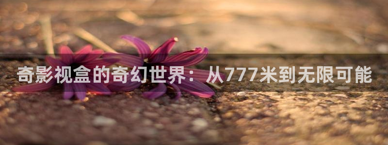 《黑蚂蚁》电视剧：奇影视盒的奇幻世界：从777米到无限可能