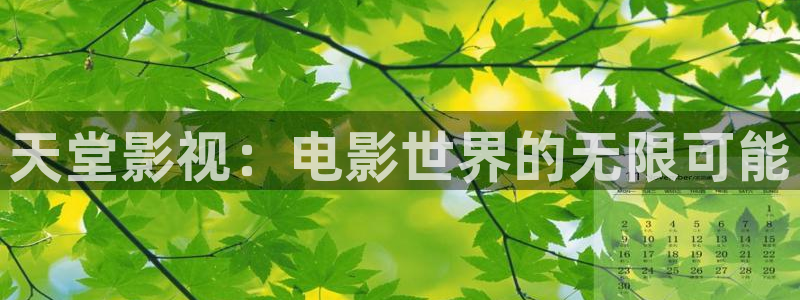 黑蚂蚁影院电视剧全集：天堂影视：电影世界的无限可能