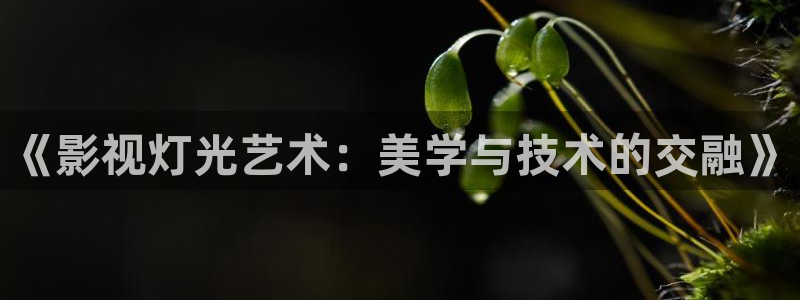 黑蚂蚁影院电视剧大全：《影视灯光艺术：美学与技术的交融》
