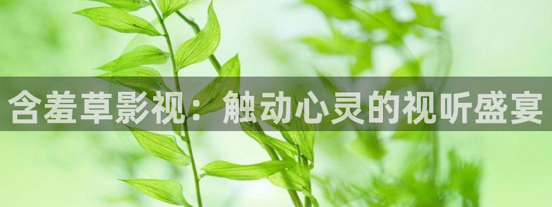 黑蚂蚁影：含羞草影视：触动心灵的视听盛宴