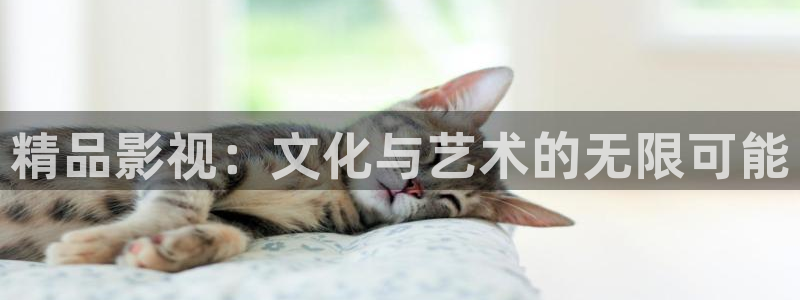 黑蚂蚁短剧网：精品影视：文化与艺术的无限可能