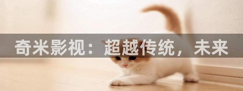 黑蚂蚁影院电视剧免费观看：奇米影视：超越传统，未来