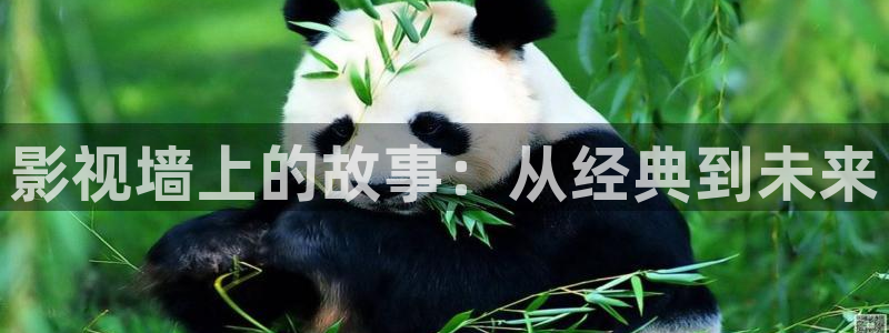 黑蚂蚁影视视频电视剧大全：影视墙上的故事：从经典到未来