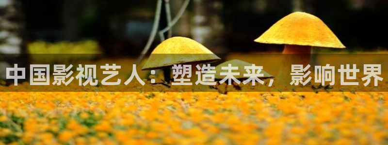 黑蚂蚁影剧：中国影视艺人：塑造未来，影响世界