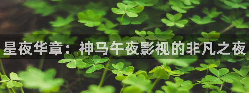 黑蚂蚁电视剧全集免费收看：星夜华章：神马午夜影视的非凡之夜
